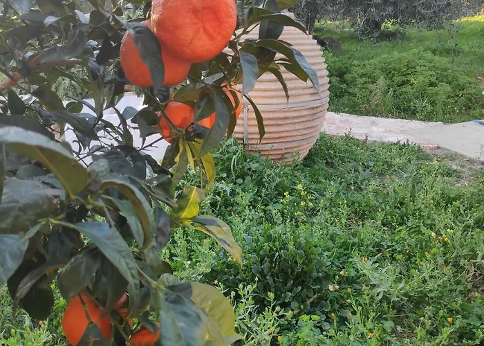 فيلة Casa Rossa Pesádha