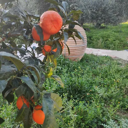 ヴィラ Casa Rossa Pesádha